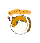 ふわふわのかわいい猫と友達スタンプ（個別スタンプ：14）