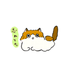 ふわふわのかわいい猫と友達スタンプ（個別スタンプ：17）