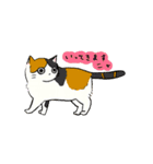 ふわふわのかわいい猫と友達スタンプ（個別スタンプ：33）