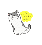 ふわふわのかわいい猫と友達スタンプ（個別スタンプ：34）