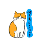 ふわふわのかわいい猫と友達スタンプ（個別スタンプ：36）
