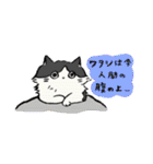 ふわふわのかわいい猫と友達スタンプ（個別スタンプ：39）