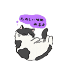 ふわふわのかわいい猫と友達スタンプ（個別スタンプ：40）