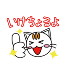 ノラネコのチャオ（個別スタンプ：1）
