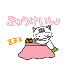 ノラネコのチャオ（個別スタンプ：21）