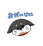 黒柴～日常編～（個別スタンプ：13）