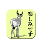 後ろ姿の動物たち（個別スタンプ：13）