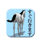 後ろ姿の動物たち（個別スタンプ：37）