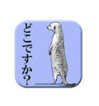 後ろ姿の動物たち（個別スタンプ：39）