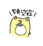 ぷるきゃこ（個別スタンプ：20）