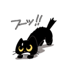 短足猫タンタン（個別スタンプ：31）