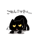 短足猫タンタン（個別スタンプ：37）