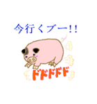 元気なミニブタのヨシ坊（個別スタンプ：16）