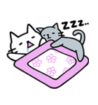 つみねこっち（個別スタンプ：21）