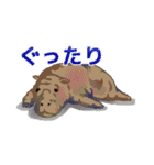 我ら動物（個別スタンプ：2）