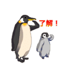 我ら動物（個別スタンプ：9）