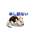 我ら動物（個別スタンプ：14）