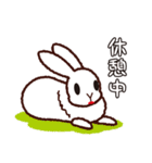 うたたんです（個別スタンプ：26）