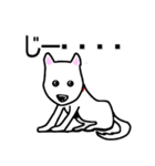 キュート犬（個別スタンプ：3）