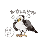DAJARETCH Part2（個別スタンプ：21）
