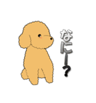 トイプードルのぷーちゃん（個別スタンプ：8）