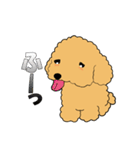 トイプードルのぷーちゃん（個別スタンプ：10）