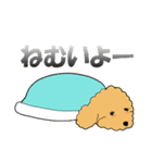 トイプードルのぷーちゃん（個別スタンプ：11）