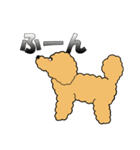 トイプードルのぷーちゃん（個別スタンプ：16）