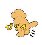 トイプードルのぷーちゃん（個別スタンプ：36）