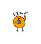 たらこひよこ（個別スタンプ：36）