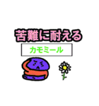 物知りなマカロン達 ～花言葉編～（個別スタンプ：12）