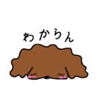 関西トイプーあずきちゃん（個別スタンプ：20）