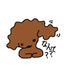 関西トイプーあずきちゃん（個別スタンプ：25）