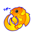 Coolな金魚（日本語版）（個別スタンプ：34）
