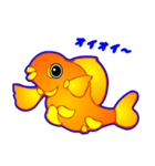 Coolな金魚（日本語版）（個別スタンプ：36）