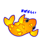 Coolな金魚（日本語版）（個別スタンプ：37）
