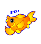 Coolな金魚（日本語版）（個別スタンプ：38）