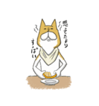 はらへり犬（個別スタンプ：9）