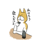 はらへり犬（個別スタンプ：19）