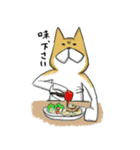 はらへり犬（個別スタンプ：37）