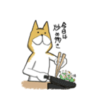 はらへり犬（個別スタンプ：40）