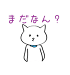 関西弁の白ネコさん(京都、大阪バージョン)（個別スタンプ：21）