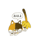 ねこらいおん（個別スタンプ：31）