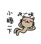 Meowication（個別スタンプ：1）