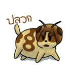 OUN Dog Bangkok（個別スタンプ：6）