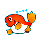 かわいい金魚（日本語版）（個別スタンプ：24）