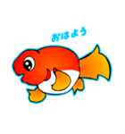 かわいい金魚（日本語版）（個別スタンプ：26）
