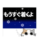 福猫！（個別スタンプ：27）