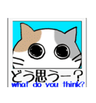 福猫！（個別スタンプ：29）