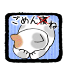 福猫！（個別スタンプ：37）